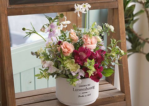 ラナンキュラスのアレンジキット