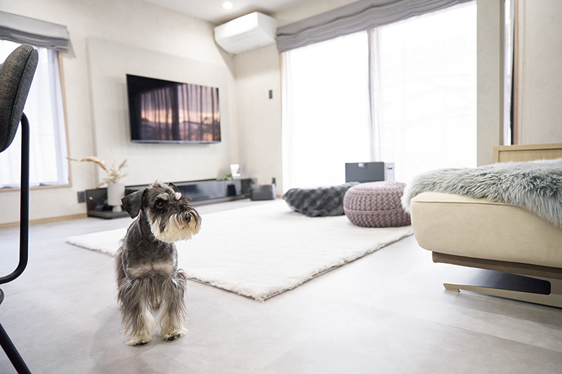 リビングメインのFT