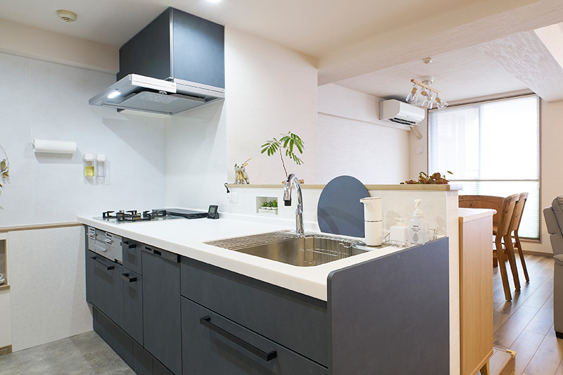 置く場所を選ばないカグタス