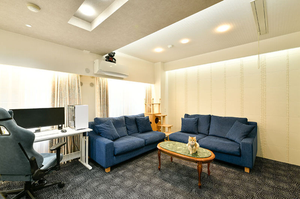 紺ソファと黒い床、猫が寛ぐモダンな室