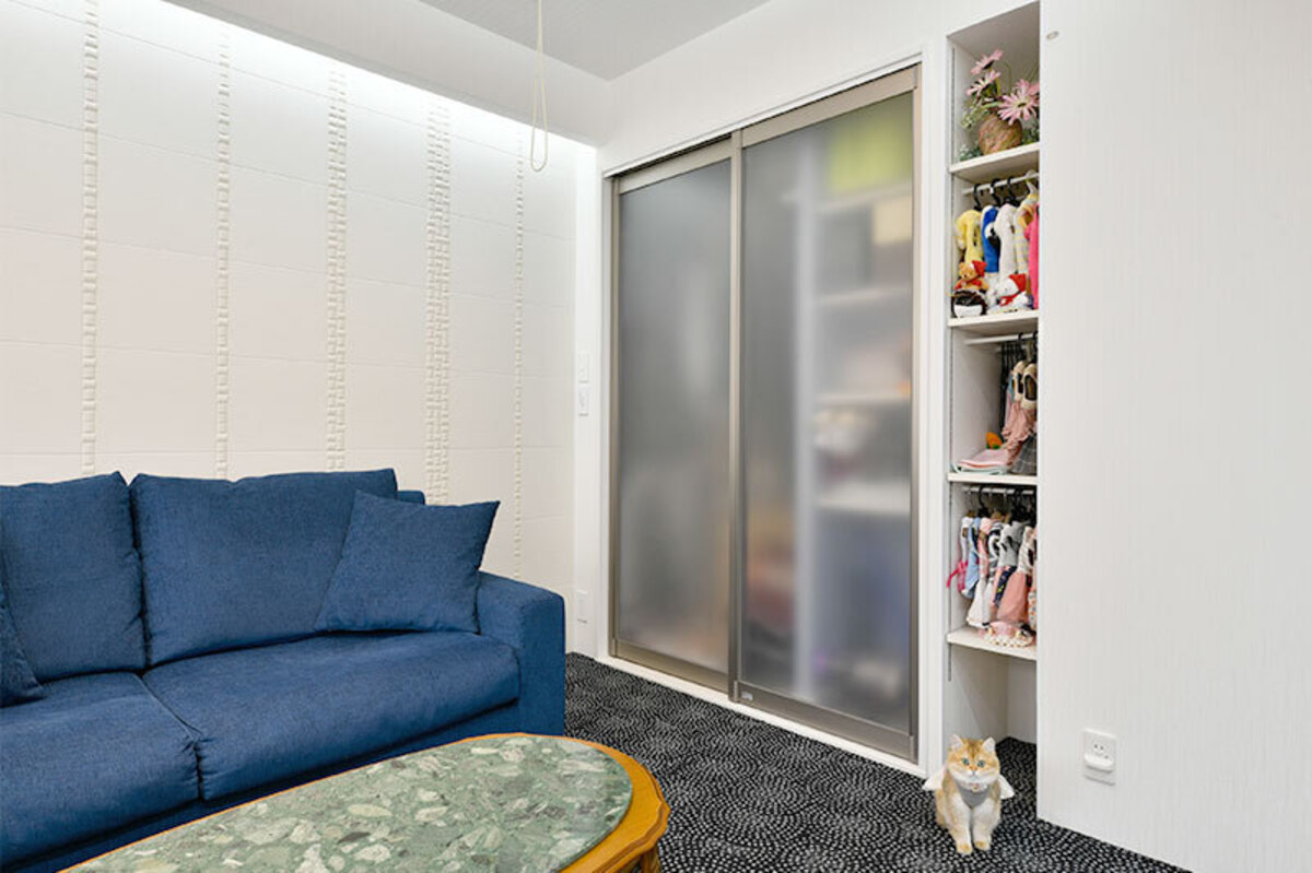 紺ソファとガラス扉、猫服並ぶモダン室