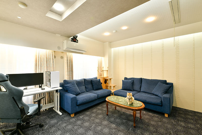 の施工事例　愛猫と見つめ合う、ぬくもりの空間