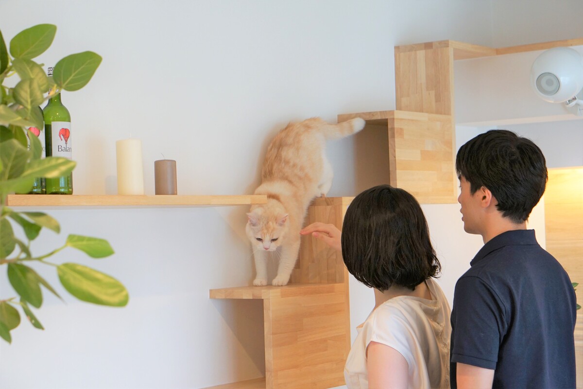 猫のための工夫あふれるリビング