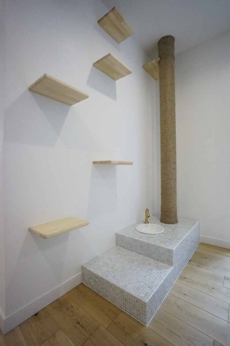 キャットウォークと水飲み場設置